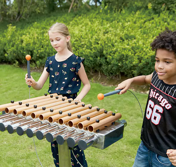 Прилагођена тема